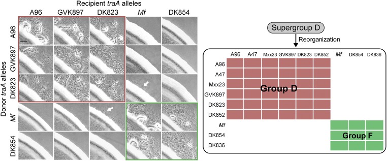 Fig. S4.