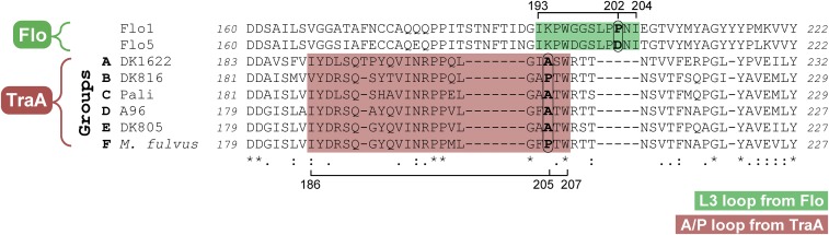 Fig. S7.