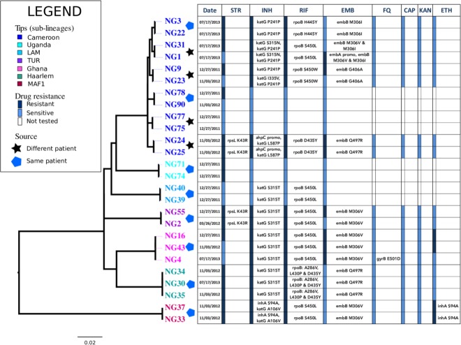 Fig 2