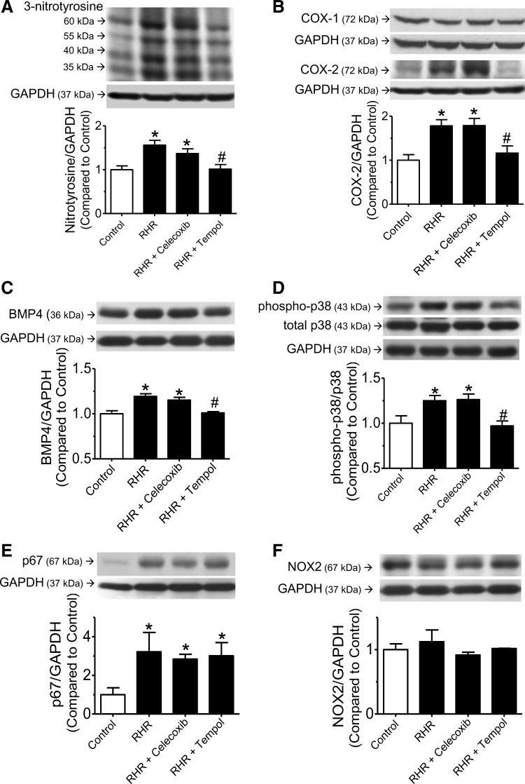 FIG. 6.