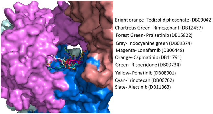 Fig. 3