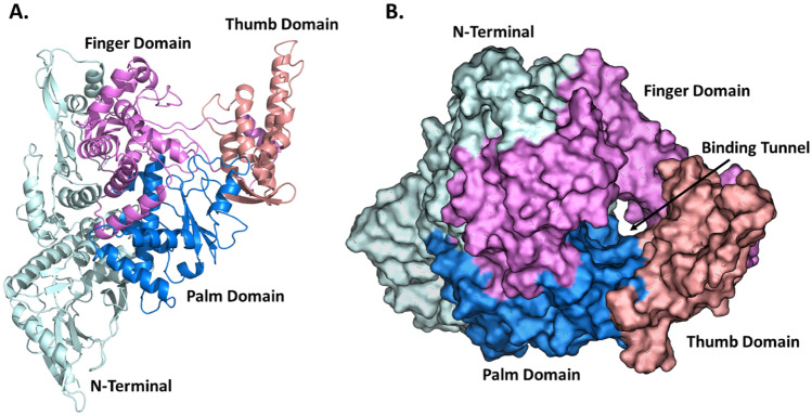 Fig. 1