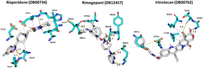 Fig. 4