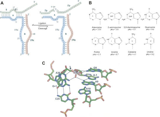 FIGURE 1.