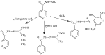 Scheme 5