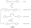 Scheme 4