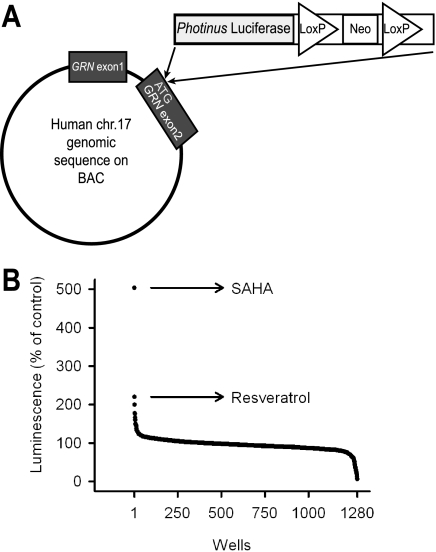 FIGURE 1.