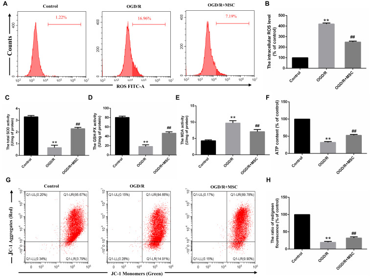 FIGURE 4