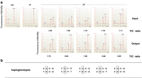 Fig. 2