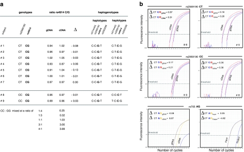 Fig. 3