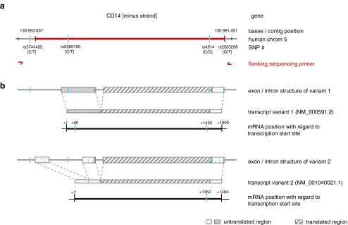 Fig. 1