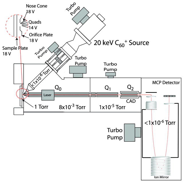 Fig. 9