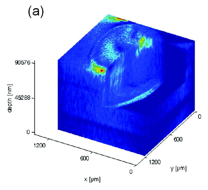 Fig. 7