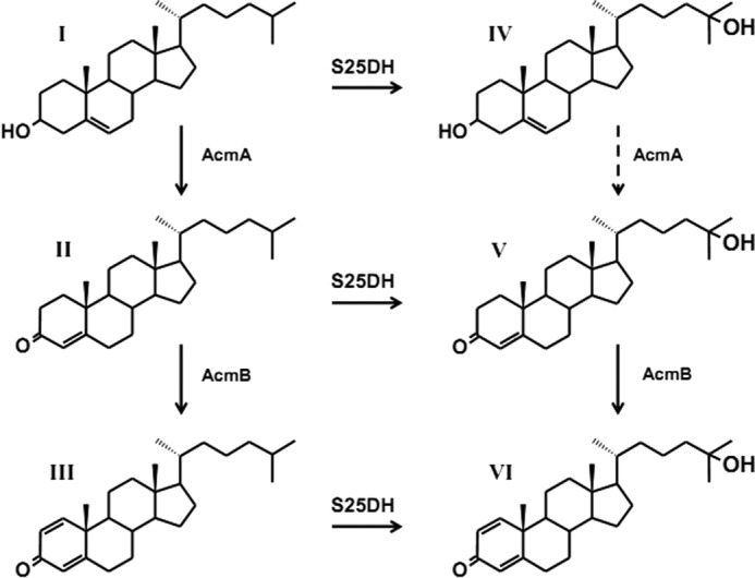 FIGURE 1.