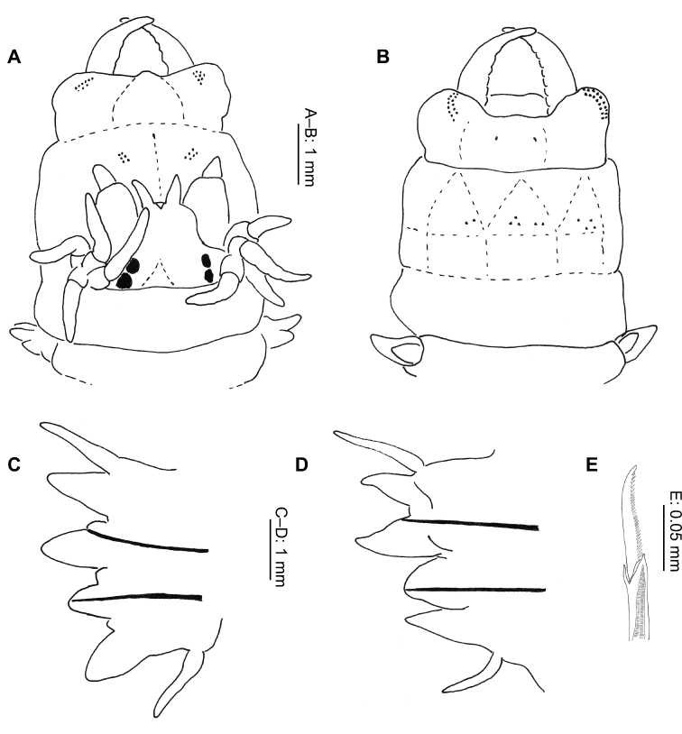 Figure 5.