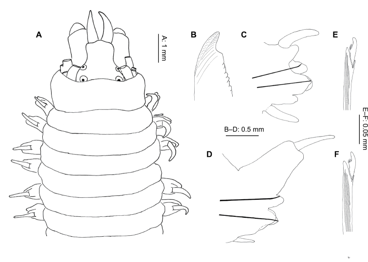 Figure 7.