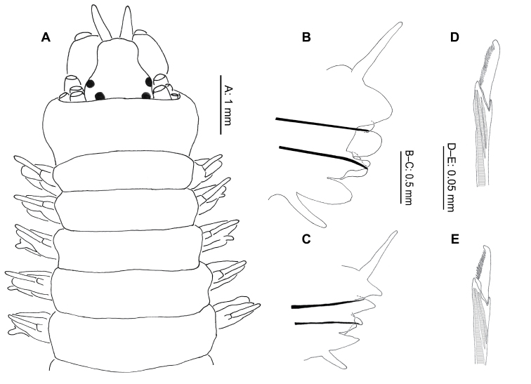 Figure 4.