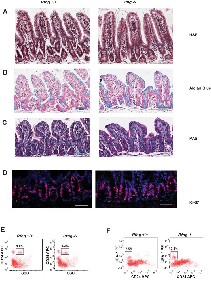 Figure 1—figure supplement 2.