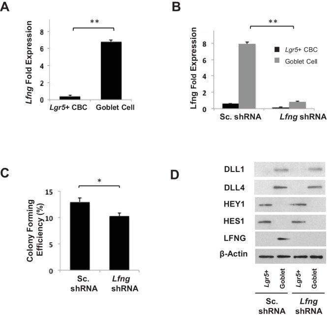 Figure 4—figure supplement 1.