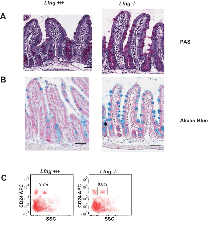 Figure 5—figure supplement 1.