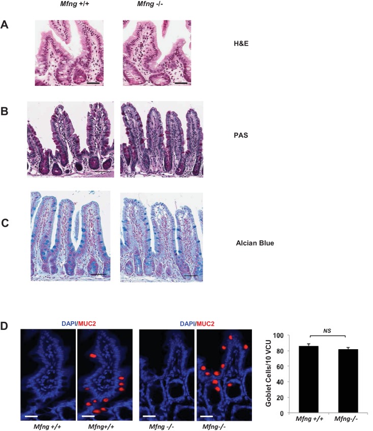 Figure 3—figure supplement 1.