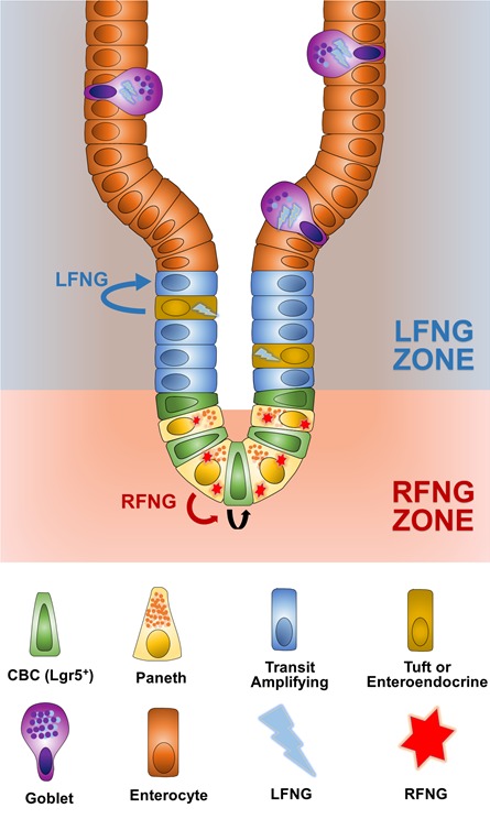 Figure 8.