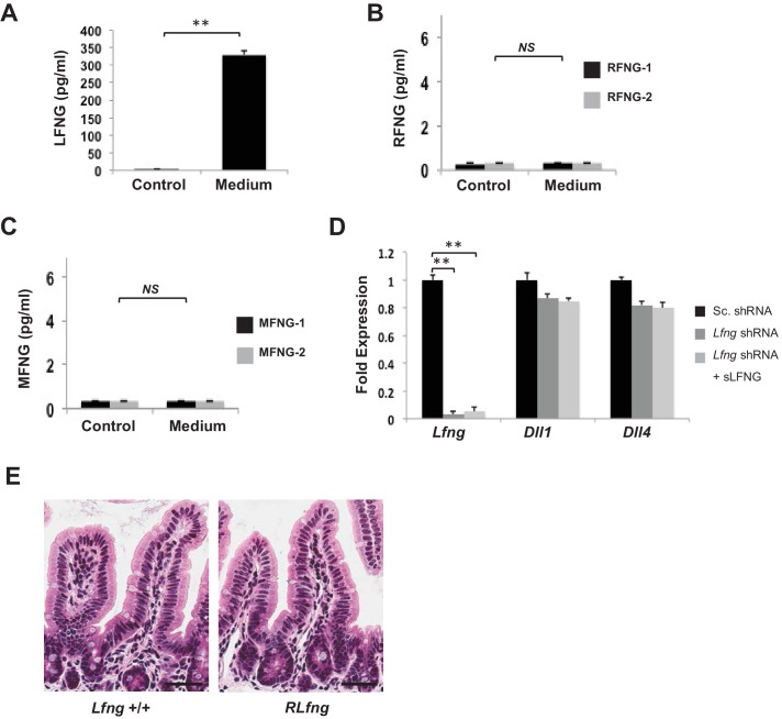 Figure 6—figure supplement 1.