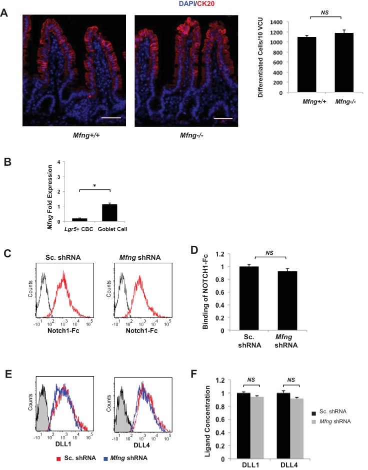 Figure 3—figure supplement 2.