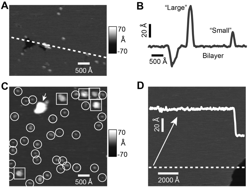 Fig. 2.