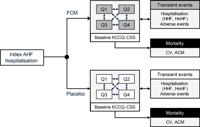 EJHF-2270-FIG-0001-c