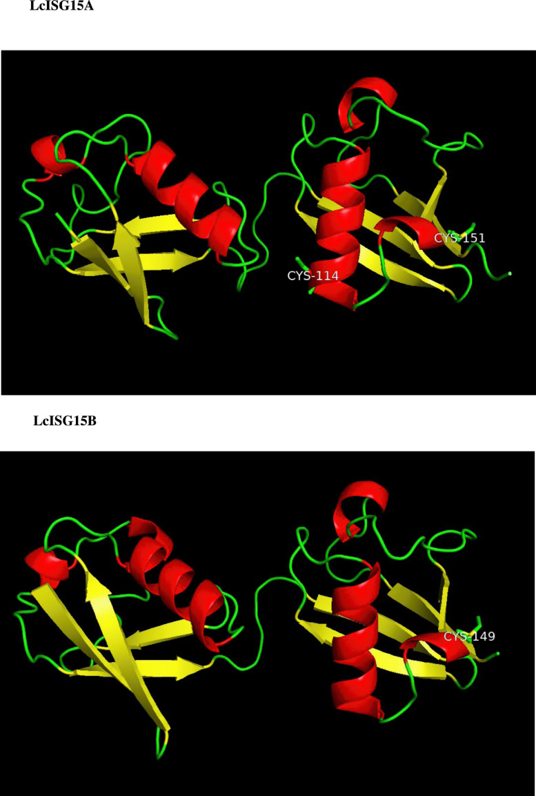 Fig. 2b