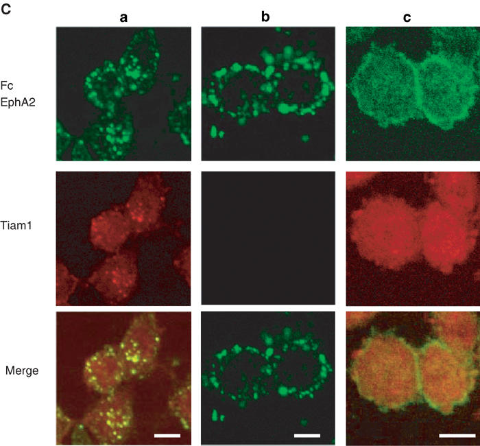 Figure 4c