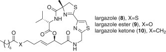 Figure 6.6