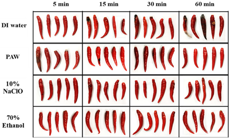 Figure 12