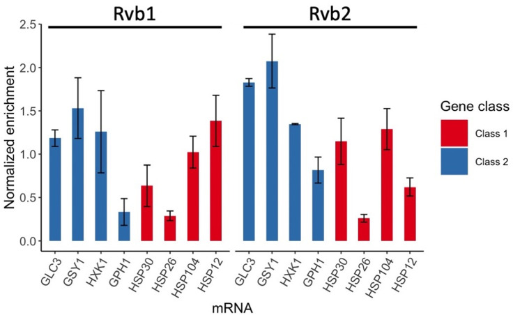 Figure 3—figure supplement 1.