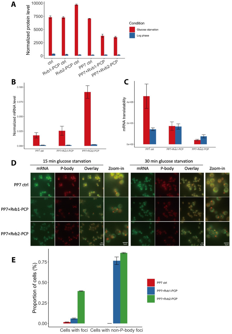 Figure 4—figure supplement 2.