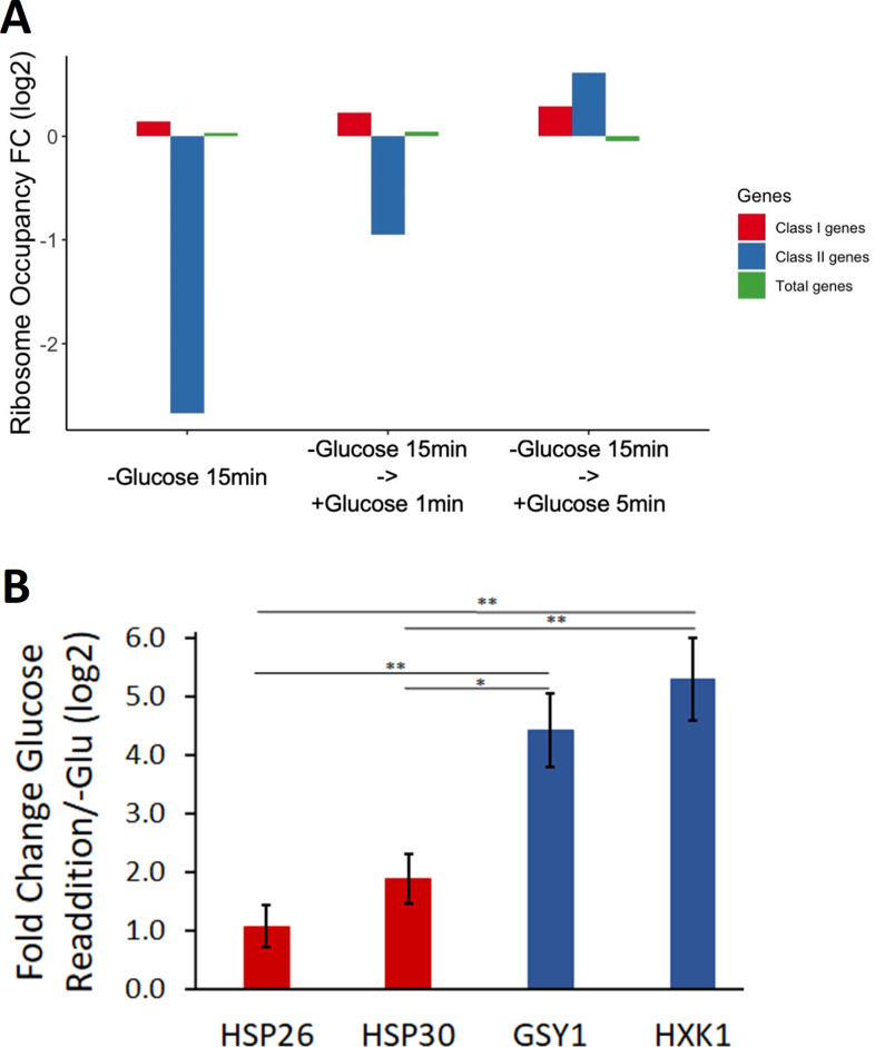 Figure 4—figure supplement 3.