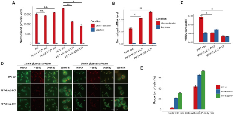 Figure 4—figure supplement 1.