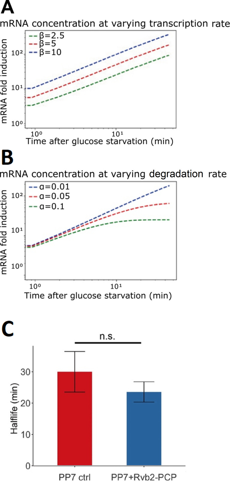 Figure 4—figure supplement 4.