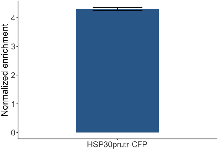 Figure 1—figure supplement 1.