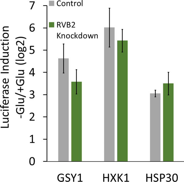 Figure 5—figure supplement 1.