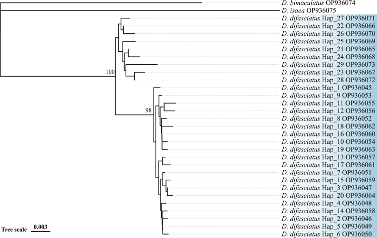 Figure 12.