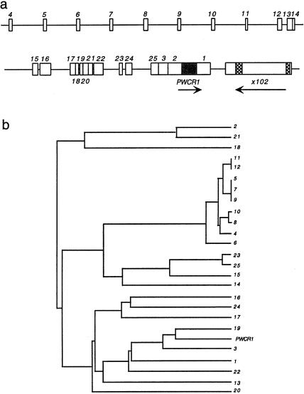 Figure  5