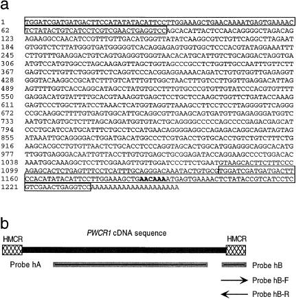 Figure  2