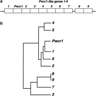 Figure  7