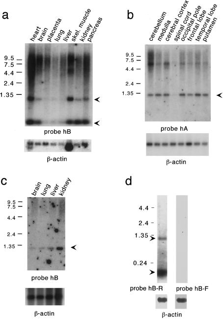 Figure  3