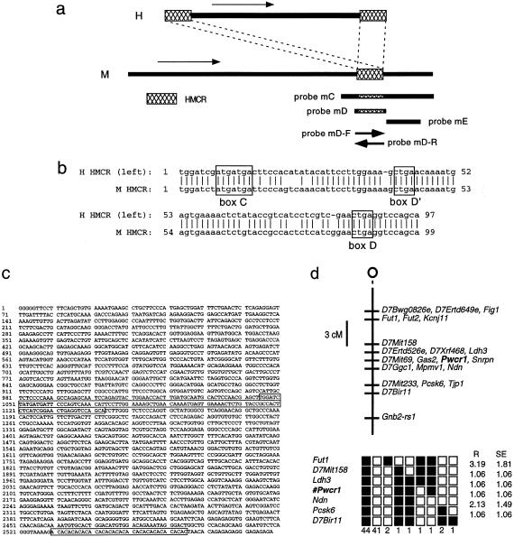 Figure  6