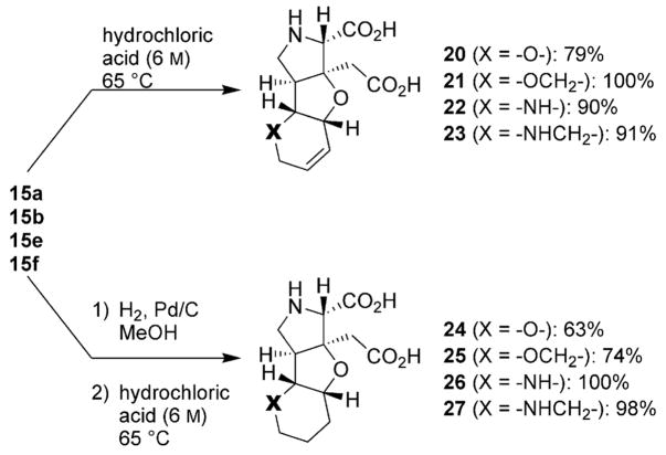 Scheme 5