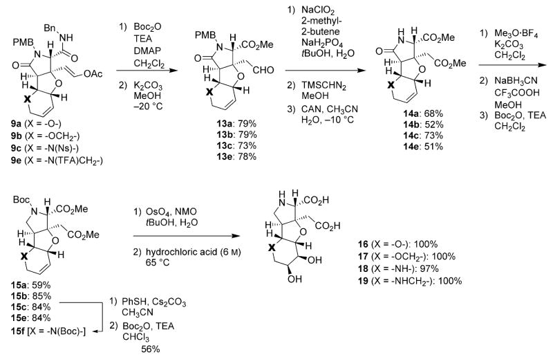 Scheme 4