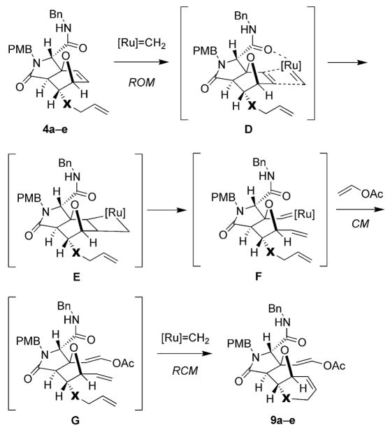 Scheme 3